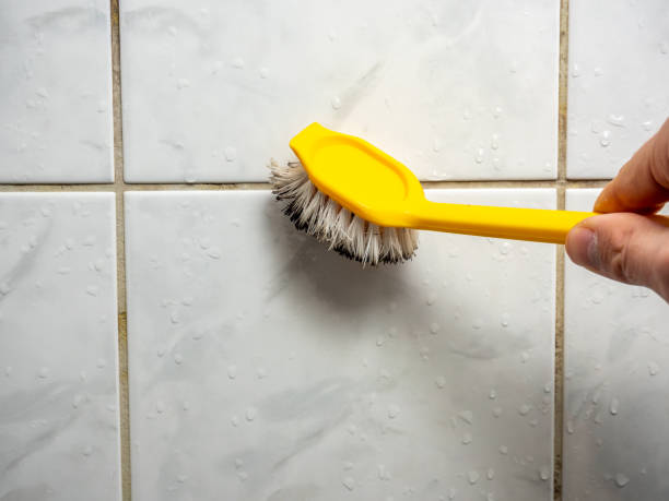 Office Mold Removal Services in Georgetown, KY